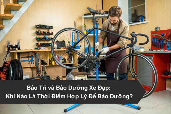 Anh bia 8