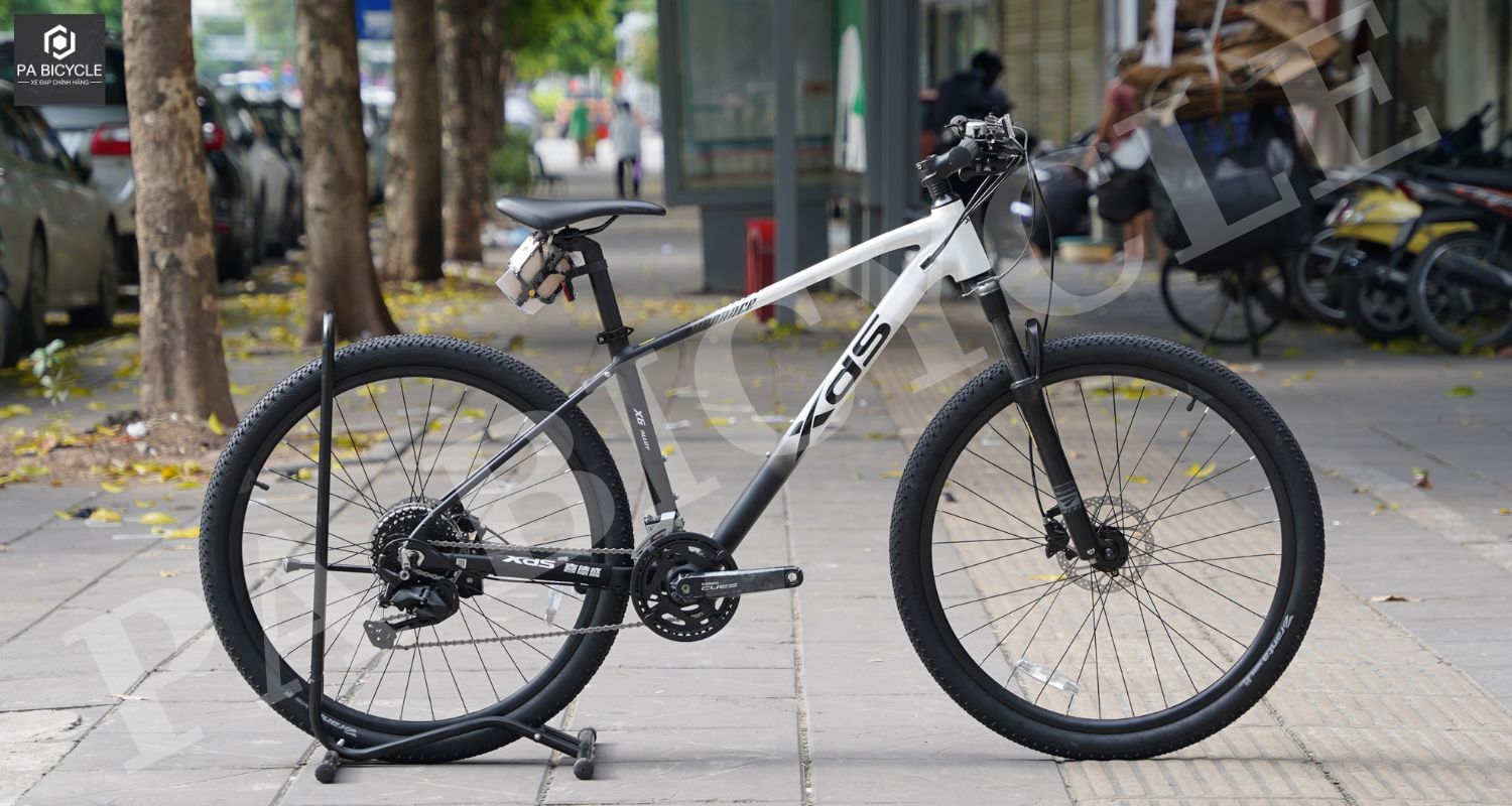 PA Bicycle - Nhà Cung Cấp Xe Đạp XDS Độc Quyền Tại Việt Nam 10 XDS SUNDANCE 800