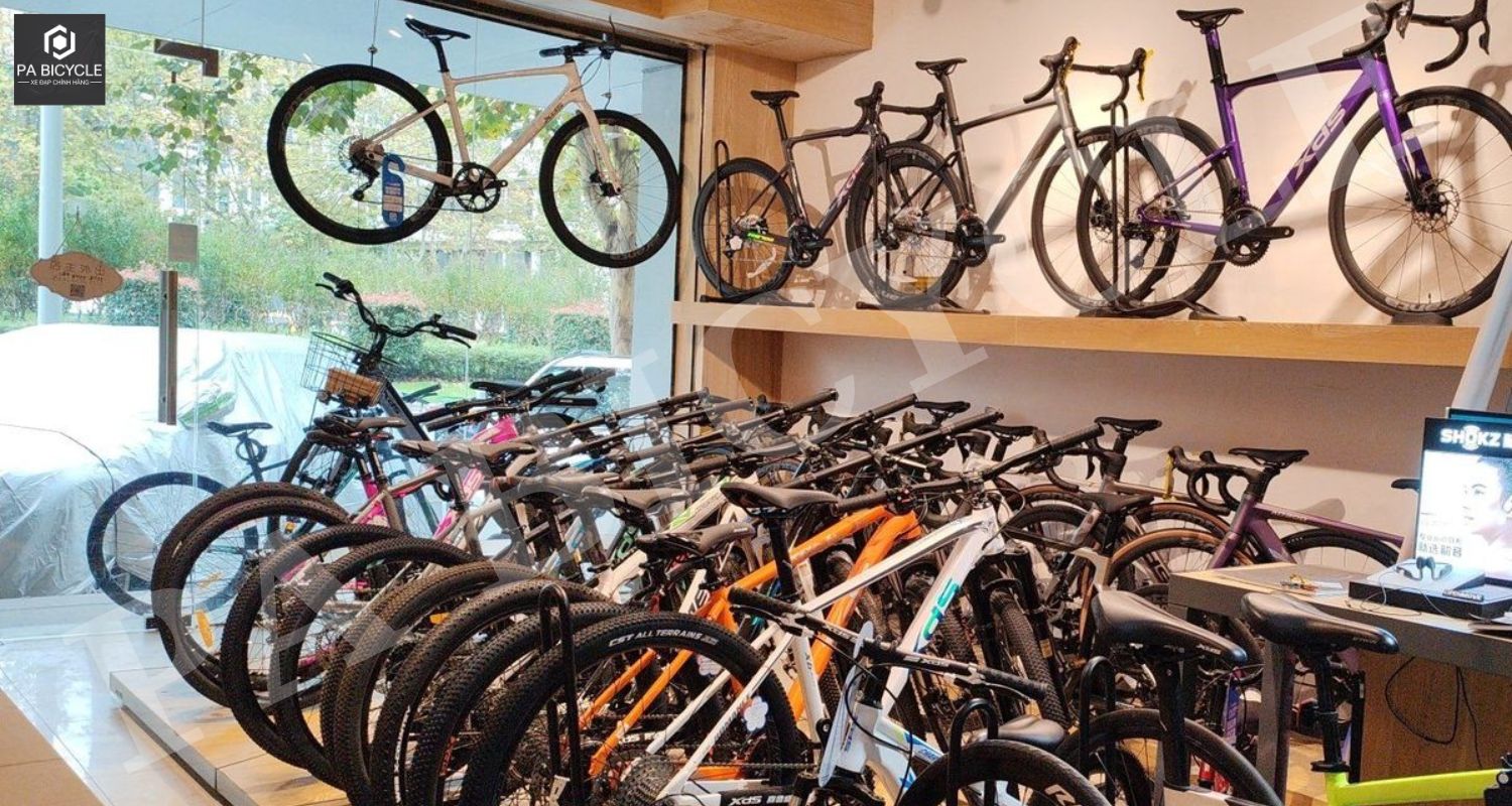 PA Bicycle - Nhà Cung Cấp Xe Đạp XDS Độc Quyền Tại Việt Nam 3 Đa dạng các mẫu xe