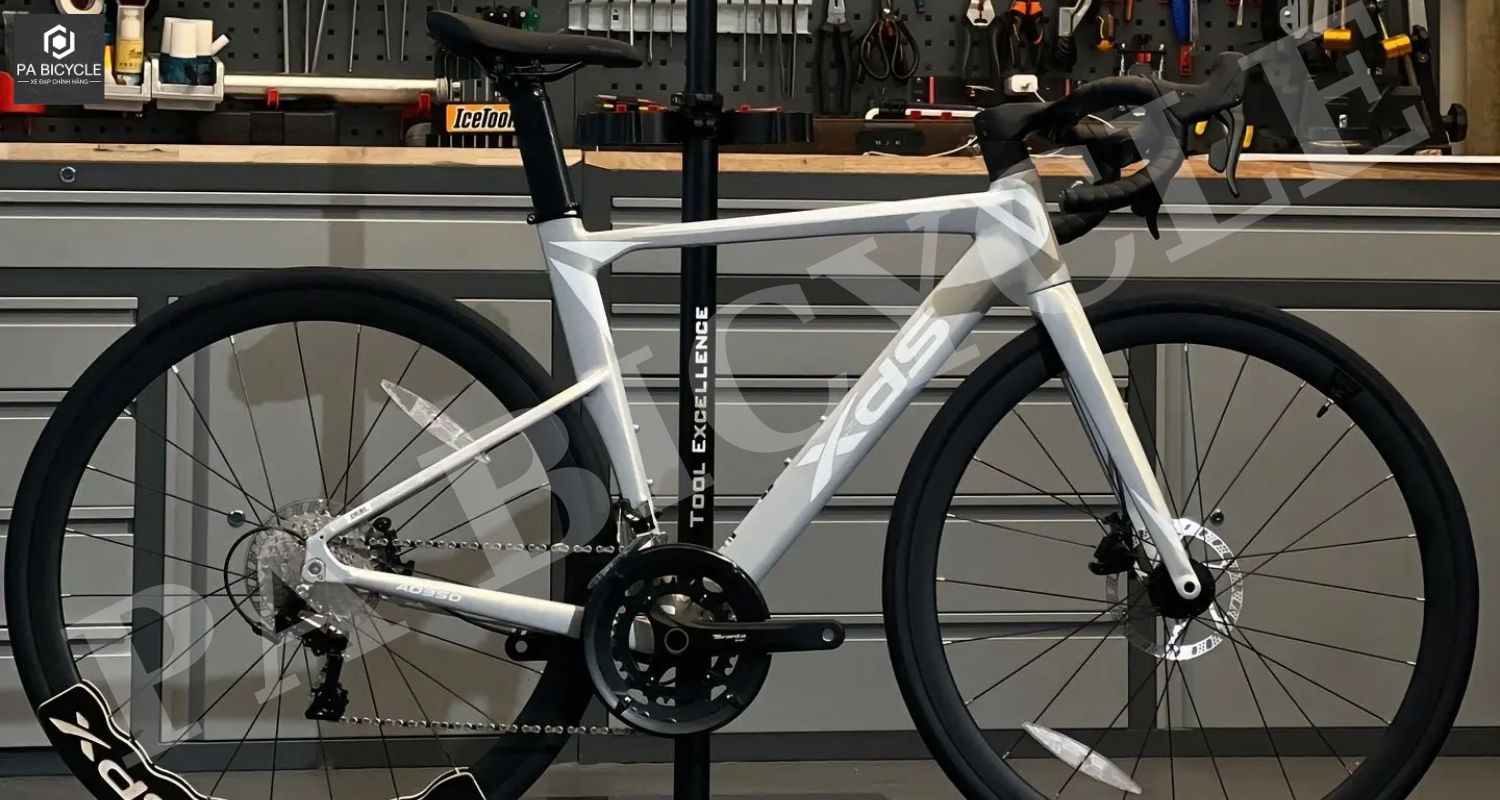 PA Bicycle - Nhà Cung Cấp Xe Đạp XDS Độc Quyền Tại Việt Nam 6 XDS AD350
