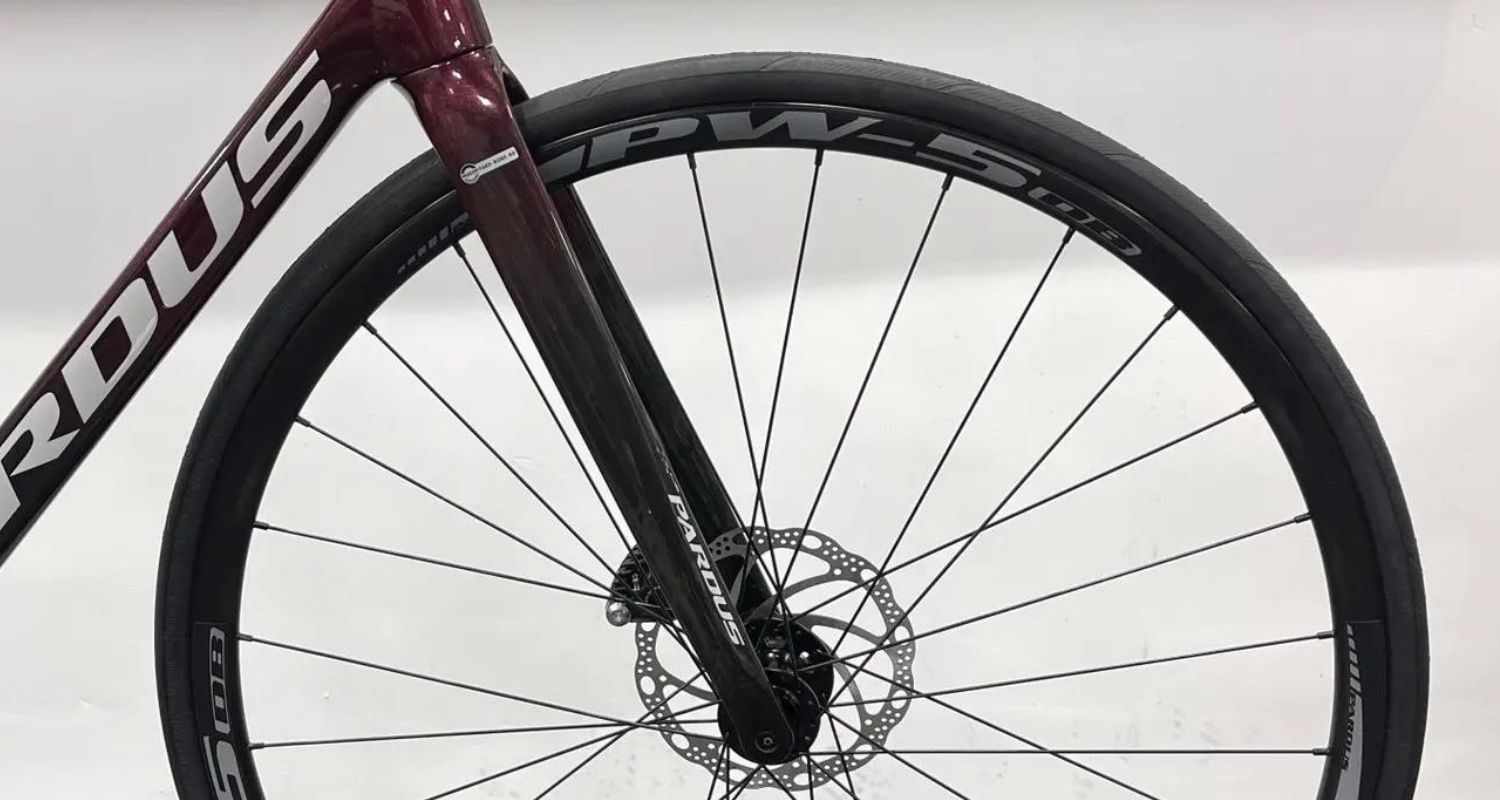 Tại Sao Pardus Robin RS-105 Là Chiếc Xe Đạp Đáng Sở Hữu Nhất? 2 Phuộc đơ Carbon HS-HPT cao cấp siêu nhẹ