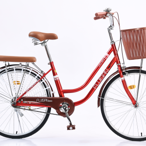 PA Bicycle - Nhà cung cấp xe đạp chuyên nghiệp Á Châu 25 xe-dap-fujisan-g300